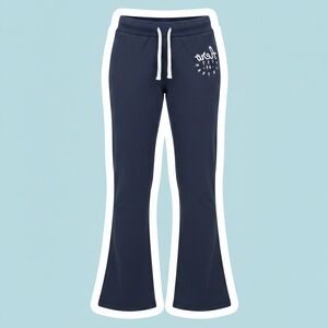 Aeropostale Navy Flare Pants